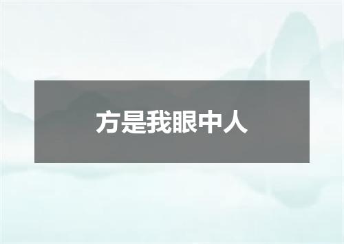 方是我眼中人