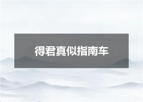 得君真似指南车