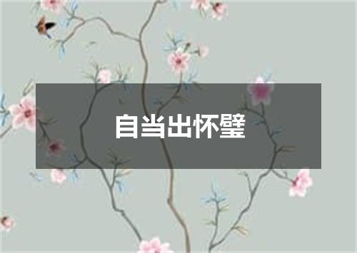 自当出怀璧