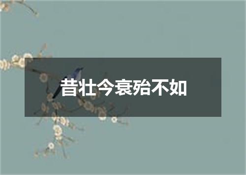 昔壮今衰殆不如