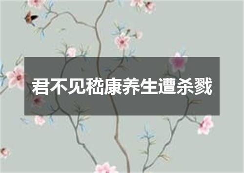 君不见嵇康养生遭杀戮