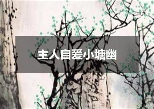 主人自爱小塘幽