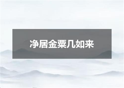 净居金粟几如来