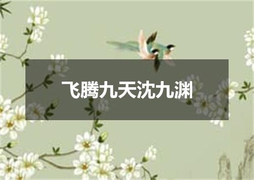 飞腾九天沈九渊