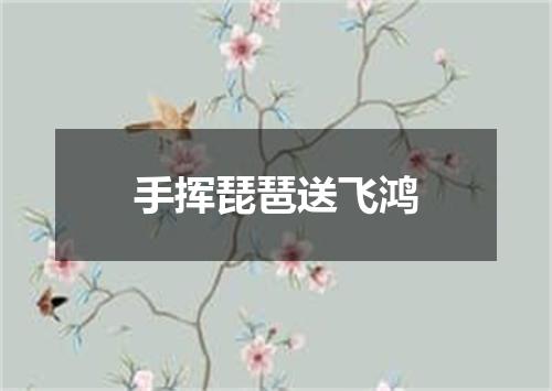 手挥琵琶送飞鸿