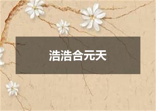 浩浩合元天