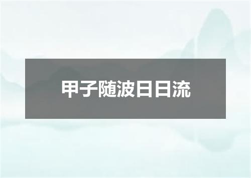 甲子随波日日流