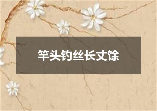 竿头钓丝长丈馀