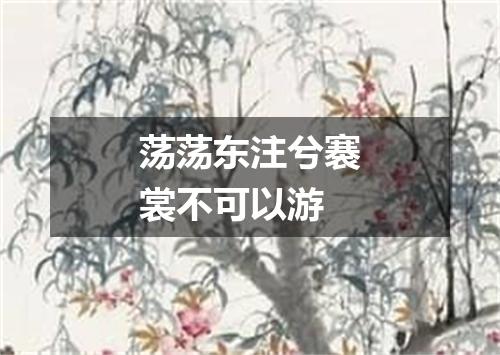 荡荡东注兮褰裳不可以游
