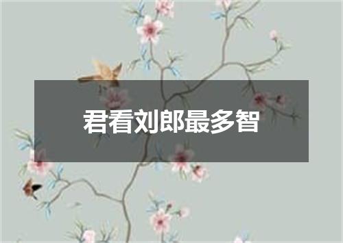 君看刘郎最多智