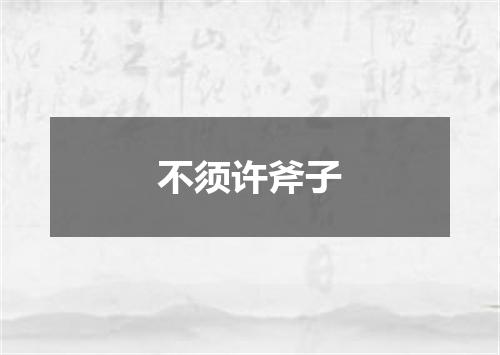 不须许斧子