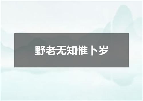 野老无知惟卜岁