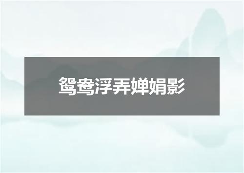 鸳鸯浮弄婵娟影