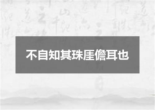 不自知其珠厓儋耳也