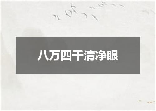 八万四千清净眼