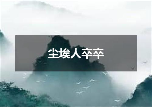 尘埃人卒卒
