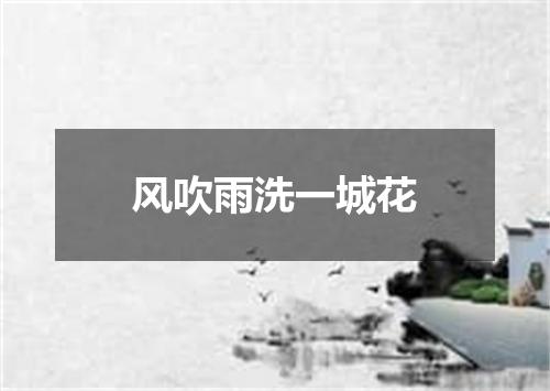 风吹雨洗一城花