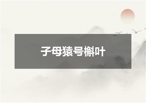 子母猿号槲叶