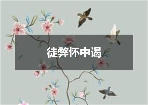 徒弊怀中谒