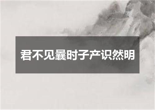 君不见曩时子产识然明