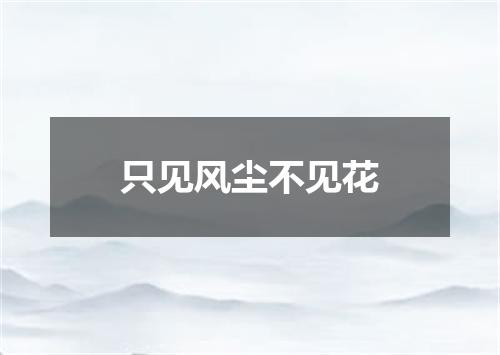 只见风尘不见花