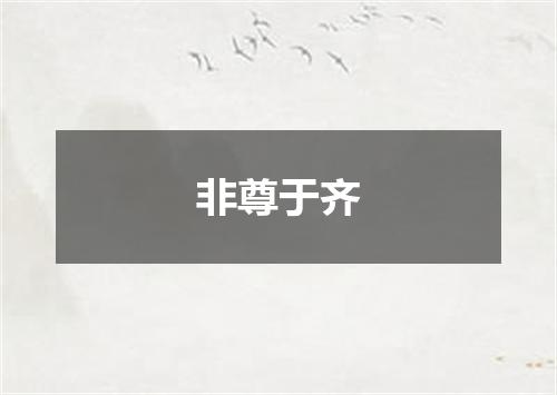 非尊于齐