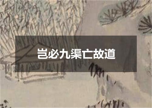 岂必九渠亡故道