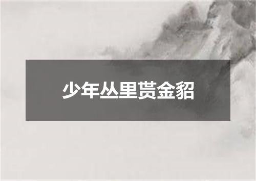 少年丛里贳金貂