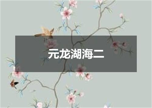 元龙湖海二