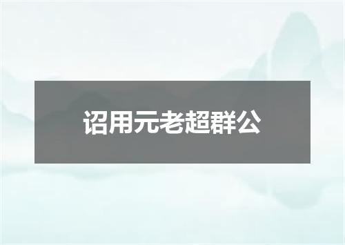 诏用元老超群公