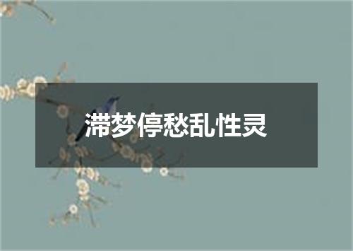 滞梦停愁乱性灵