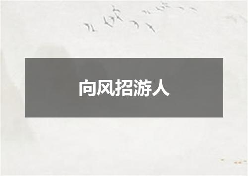 向风招游人