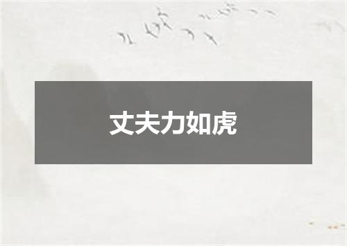 丈夫力如虎
