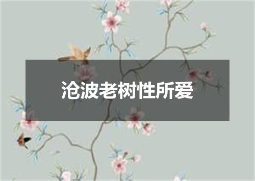 沧波老树性所爱