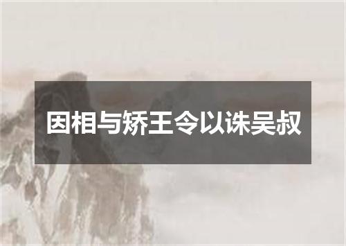 因相与矫王令以诛吴叔