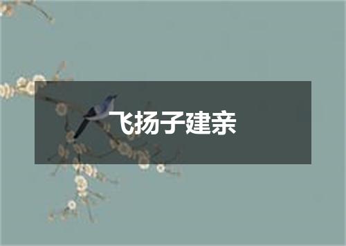 飞扬子建亲