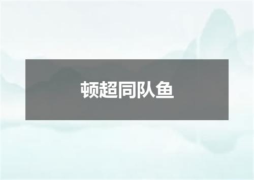 顿超同队鱼