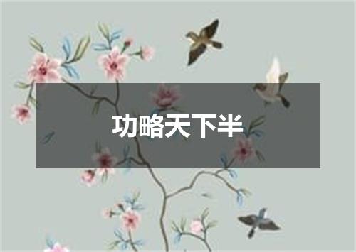 功略天下半