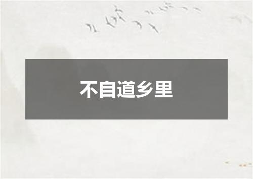 不自道乡里