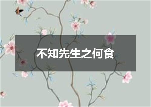 不知先生之何食