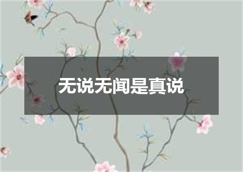 无说无闻是真说