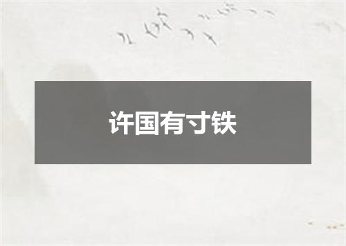 许国有寸铁