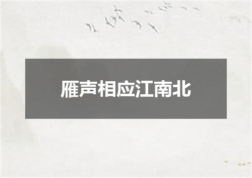雁声相应江南北