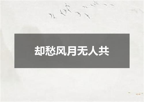 却愁风月无人共