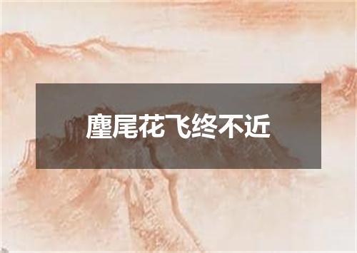 麈尾花飞终不近
