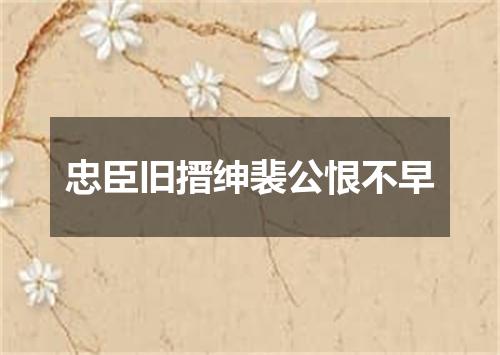 忠臣旧搢绅裴公恨不早