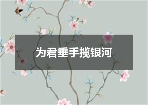 为君垂手揽银河