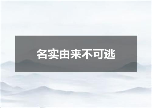 名实由来不可逃