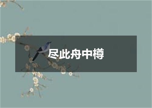 尽此舟中樽