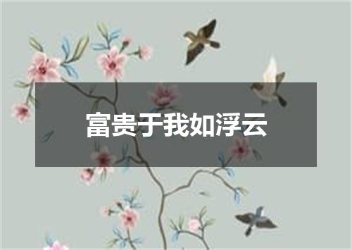 富贵于我如浮云